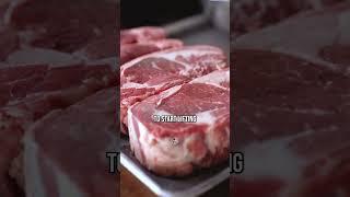 How To GAIN WEIGHT Weight On The Carnivore Diet?