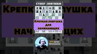 Ловушка для начинающих! #chess #шахматы #lichess #стрим #gambit #puzzle #gambitt #podcast #botez