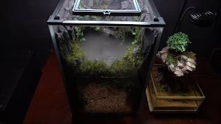 Follow these steps to easily create a stunning Cave Paludarium