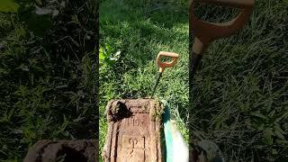  АНТИКВАРИАТ / МЕТАЛЛОКОП / КЛАД / ПОИСК #клад #металлокоп #дача #нива #4×4  #поиск #yt #shorts