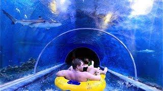 Scary Shark Waterslide at Aquapark Reda