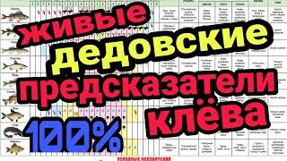 Дедовские прогнозаторы клёва! Живые барометры! Как наши деды и отцы точно предсказывали погоду!