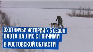 Охота на лис с гончими в Ростовской области \ Охота на зайца \ Охотничьи истории \ Сезон 5 \Выпуск 4