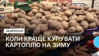 Коли житомирянам найкраще запасатися картоплею на зиму — реальні ціни і прогноз щодо їх зростання