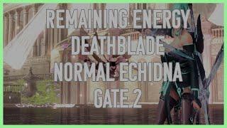 [Lost Ark] 1620 Remaining Energy Deathblade Normal Echidna Gate 2