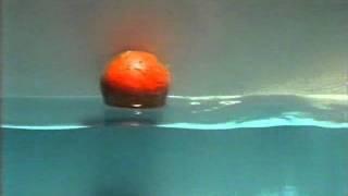 Flow of energy not matter in transverse waves