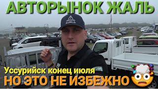 ЖАЛЬ АВТОРЫНОК, НО ЭТО НЕИЗБЕЖНО, УТИЛЬ ИХ ДОБЬЁТ, УССУРИЙСК 2024, ВЛАДИВОСТОК