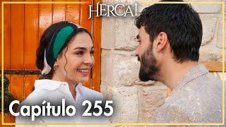 Hercai - Capítulo 255