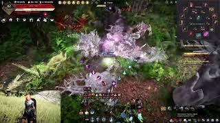 Nova awakening Mirumok Ruins, 275 Kutum / Nova PVE skill | 검은사막[BDO] Нова Мирумог БДО