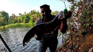 ഒടുവിൽ അവൻ നമ്മുടെ കെണിയിൽ പെട്ടു..Nadan vala fishing malayalam/fishing malayalam