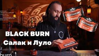 Black Burn САЛАК и ЛУЛО [забивка]