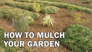 How to Mulch Your Garden