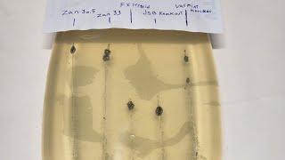 Penetration and expansion test of .22 slugs. Zan, JSB Knockouts, Fx hybrids, and Varmint Knockers.