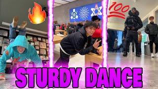 Sturdy Dance [V11]  | TikTok Compilation