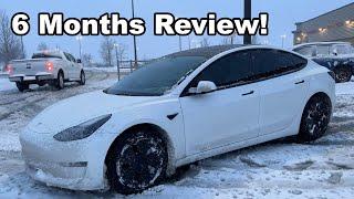 Tesla Model 3 Six Months Later Review: I Regret Buying This Model 3!