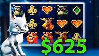 $625 Big Win on Wolf Cub Slot! ️ Winter Jackpot Spin 