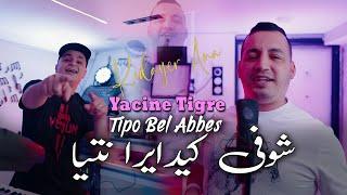 Yacine Tigre 2024 شوفي كيدايرا نتيا Kidayer Ana © Avec Tipo Bel Abbes | Clip Officiel 2024