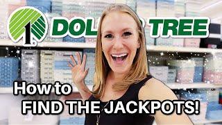 Find DOLLAR TREE JACKPOTS in ANY store!  (genius secrets from a pro!)