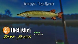 The Fisher Online. РЫБАЛКА в БЕЛОРУССИИ. ЩУКА... Пруд Дукора