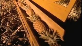 The Man from Del Monte - Midnight Pineapples Commercial