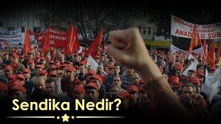 Sendika Nedir 1. Bölüm (Sendika , Sendika türleri, Neden Sendikalaşmalıyız?)