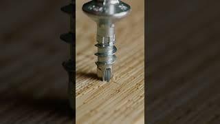This Is The Most Satisfying Screw in the World