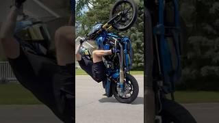 1 Wheel Weekend! #wheelie #stunt #show #harleydavidson #motorcycle #performance #rider #biker #hd
