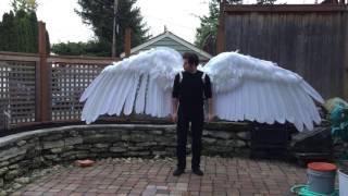 Articulated Pneumatic Wings