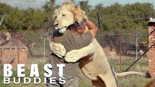 The Man Who Cuddles Lions | BEAST BUDDIES