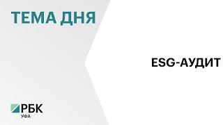 В 2024 г. Счётная палата России провела аудит государственных мер, направленных на ведения бизнеса