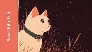 Sweet Kitty Lofi  3 Hr Song [Chill Music to Help You Study/Relax]