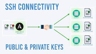 Configuring SSH connectivity between hosts