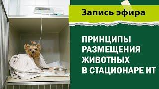 Принципы размещения животных в стационаре