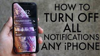 How To Turn Off ALL Notifications On ANY iPhone! (2020)