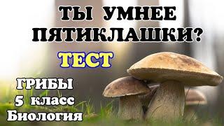 ТЕСТ на знание ГРИБОВ (Биология 5 класс) 