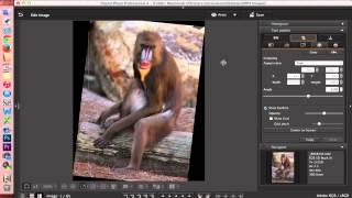 Digital Photo Professional (DPP) 4: Editing Images