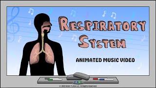 Respiratory System |  How And Why We Breathe | Animated Music Video |