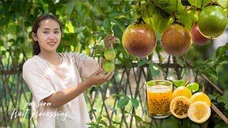 Harvesting Passion Fruit – Making Delicious Refreshing Drinks for Summer