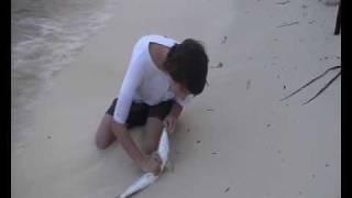 bonefish in seychelles