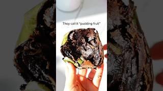 This Fruit Taste Like Chocolate Pudding!  #sapote #dessert