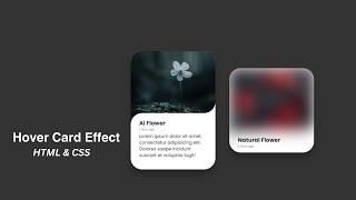 Create Blur Image Card UI Design with Hover Effect Using HTML CSS  @mrcodebox33