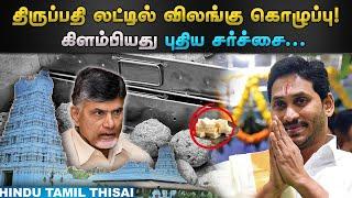 Tirupathi Laddu Issue: திருப்பதி லட்டில் விலங்கு கொழுப்பு! எழுந்த புதிய சர்ச்சை பின்னணி என்ன? | HTT