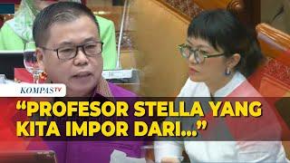 Anggota Komisi X DPR Sofyan Sebut Prof Stella Diimpor hingga Soroti Jumlah Guru Besar di Indonesia