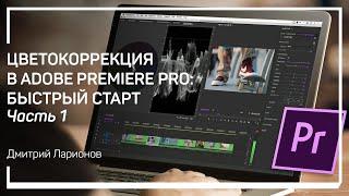 Инструменты анализа: Lumetri Scopes. Цветокоррекция в Adobe Premiere Pro: быстрый старт. Д. Ларионов