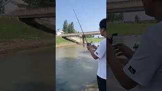 fishing silver carp and bighead carp fishing#shorts #viralvideo