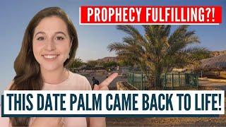 PROPHECIES FULFILLING IN ISRAEL? The Miracle of the 2000-Year-Old Date Palm!