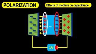 Dielectric polarization | Dielectric polarization animation | Polarization of dielectric slab