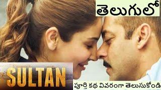 Sultan Movie Explained in Telugu |Salman Khan |Hindi Movie Story