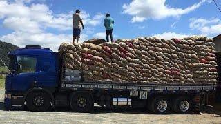 Somos Loucos Conscientes | Wanderson Vídeos Truck |