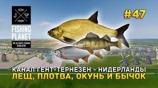 Канал Гент-Тернёзен - Нидерланды. Лещ, Плотва, Окунь и Бычок - Fishing Planet #47